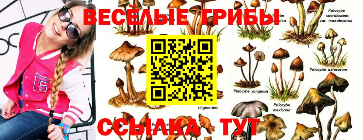 Набережные Челны  Галлюциногенные грибы ЛСД  купить наркоту  Вход с VPN 