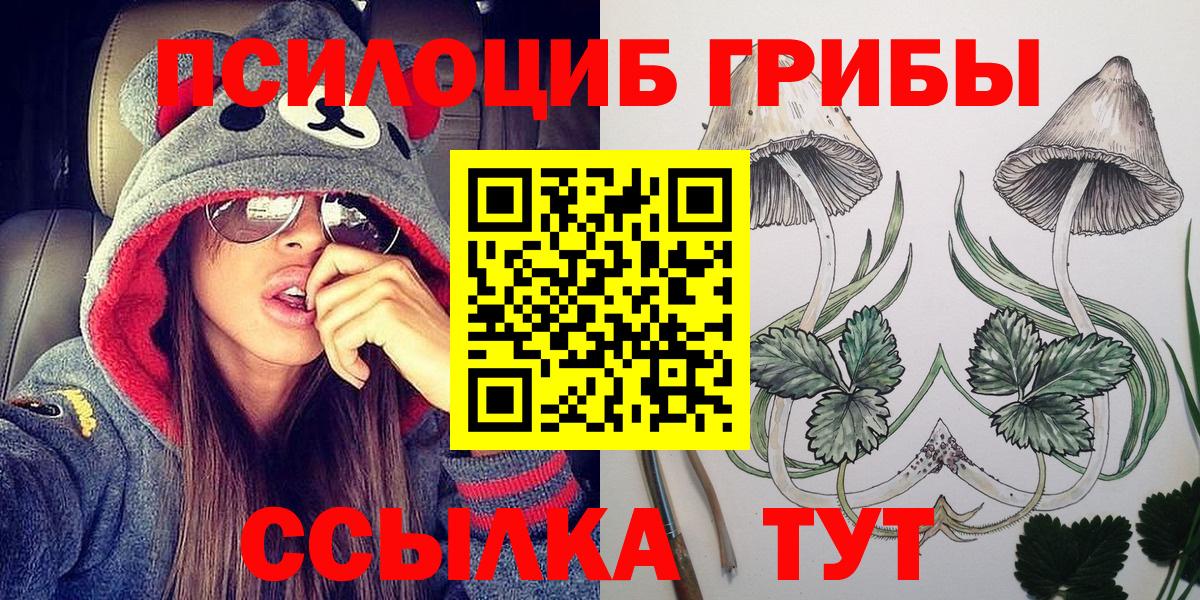 Псилоцибиновые грибы мицелий Набережные Челны